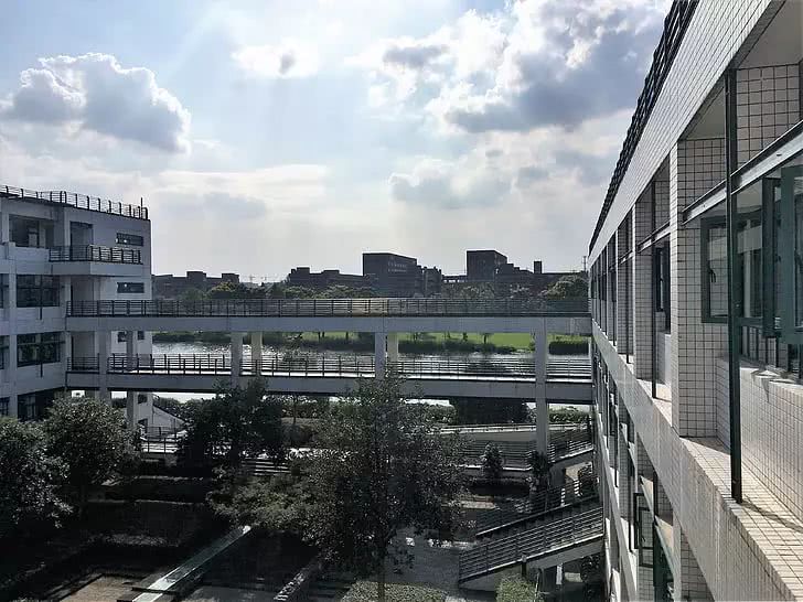 大学新生入学：辅修与双修，你想怎么选