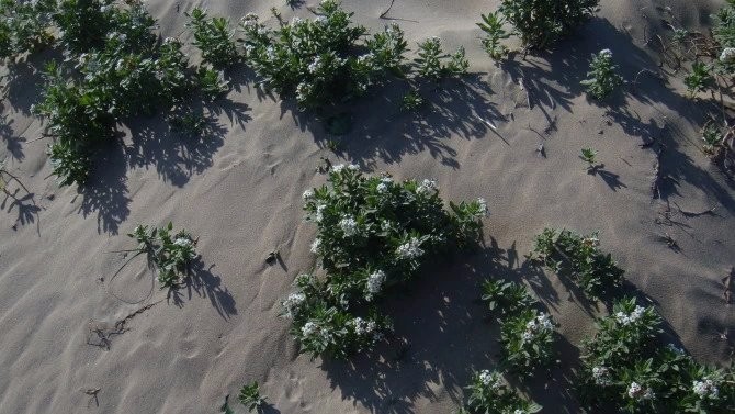 唐山浅水湾旅游全攻略,唐山周边哪里避暑最好