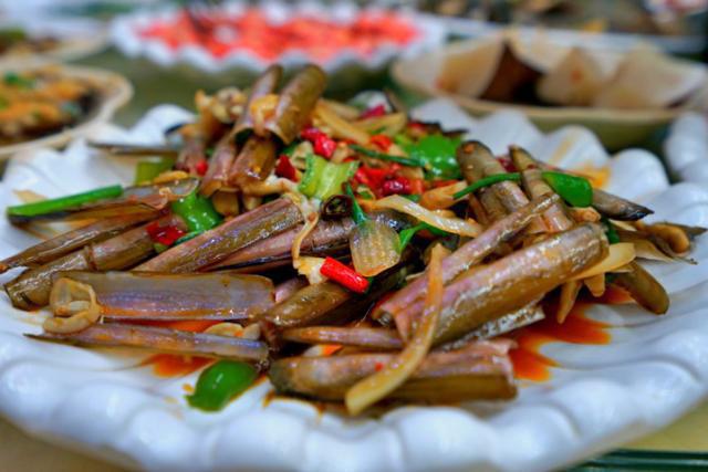 梦旅人海阳,梦旅人旅行