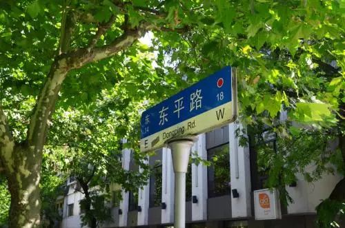 魔都超美的网红打卡圣地安福路,上海网红打卡地必去的路