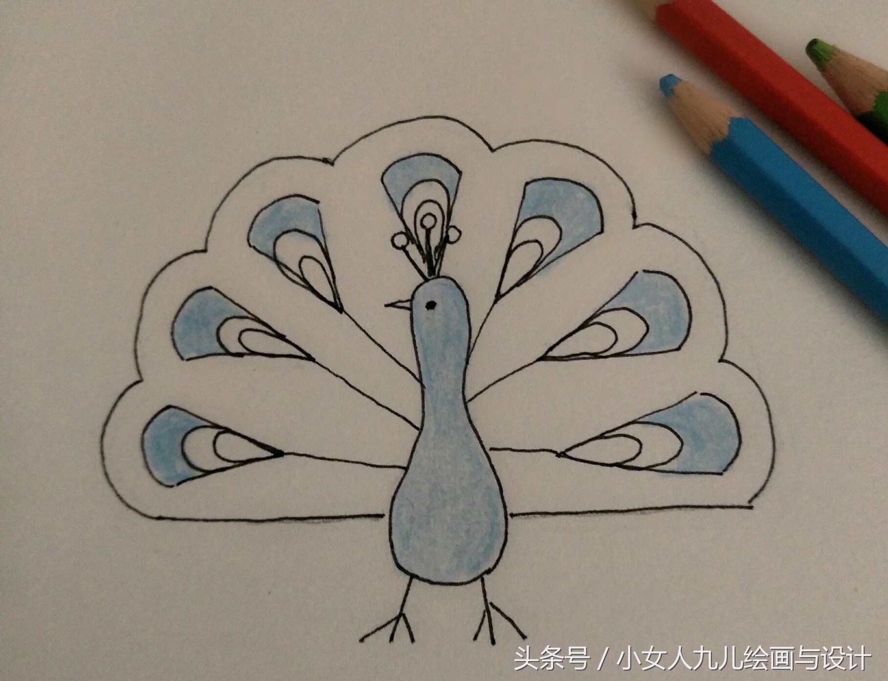 如何用手画孔雀简笔画,简笔画孔雀十二种画法