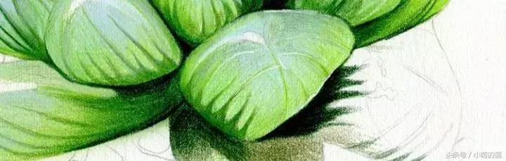 彩铅素描都是用的哪种彩铅,零基础学彩铅要先学会素描吗