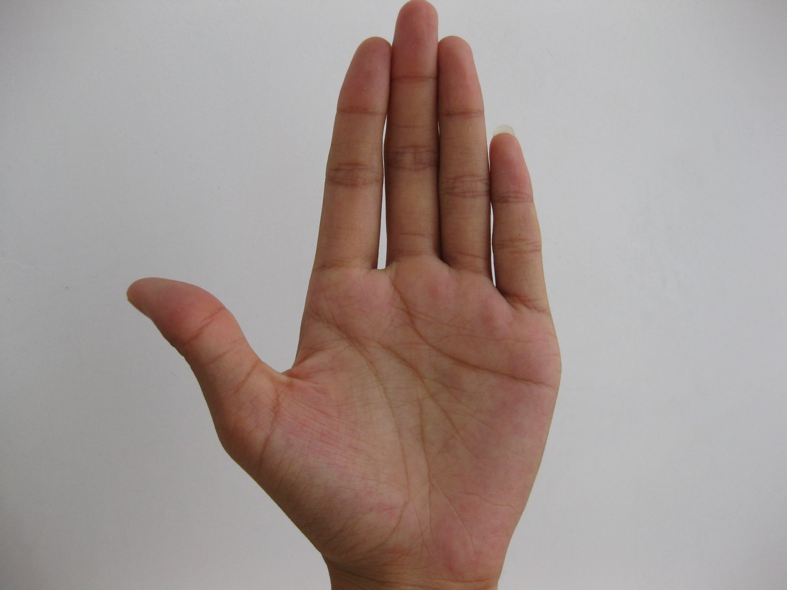 手指上的螺代表什么,快来看看你有几个簸箕