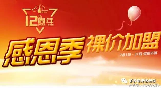 派多格临汾加盟,派多格加盟靠谱吗