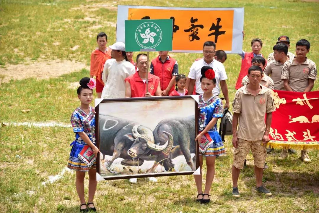 贵州凯里东方斗牛城斗牛大赛,2021年凯里斗牛大赛