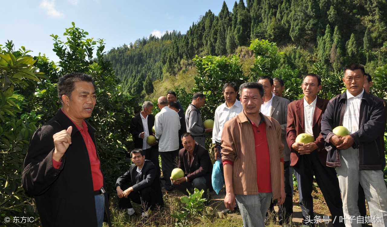 除了北上广深以外比较发达的城市,除了北上广哪个城市适合发展