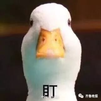 男生gucci衣服t恤多少钱一件,gucci售假事件