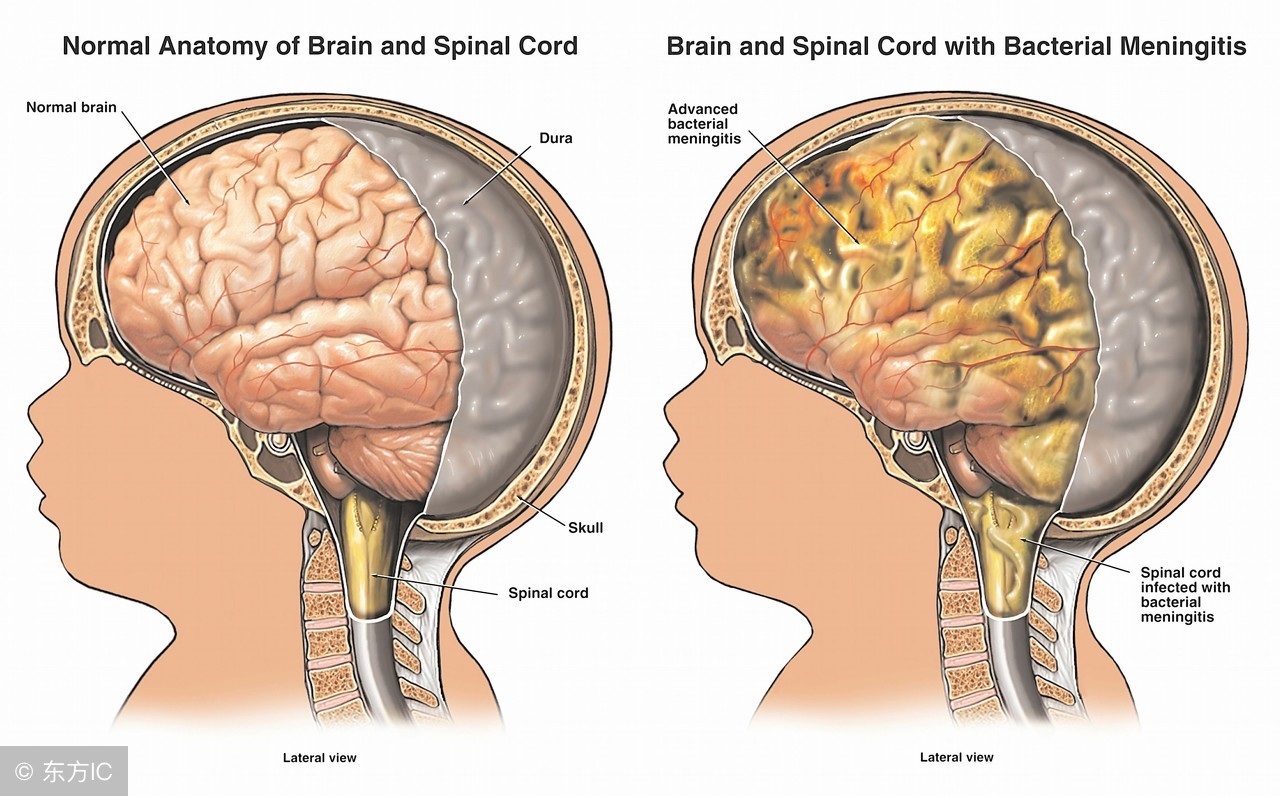生命的起源与进化生物视频,生命的起源与进化历史纪录片