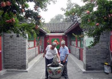 庭院石榴树的说法,红红火火多子多福石榴树