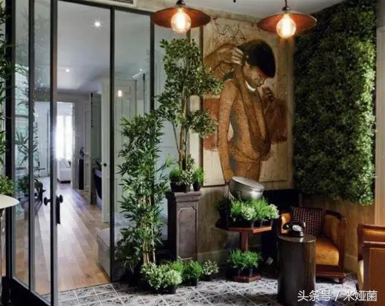 夏季植物晒伤怎么缓解,夏季炎热中暑如何自救