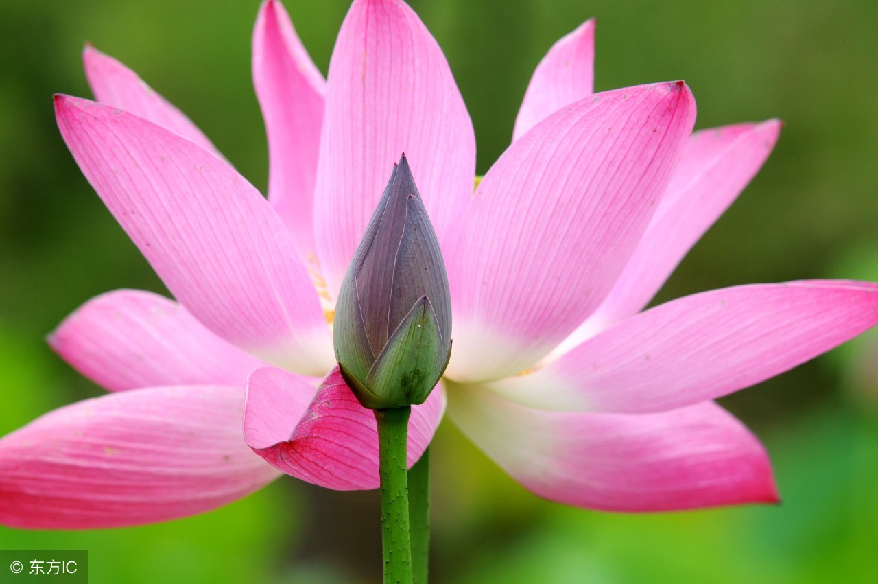 心情很糟糕的短文,心情不好的时候读一读深度好文