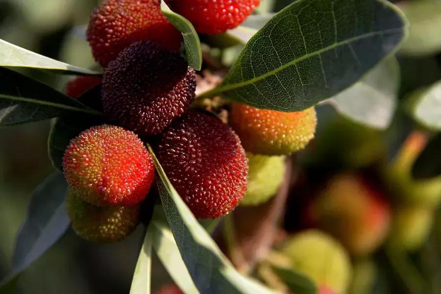 前三季度昆明各区县gdp,昆明各区县gdp