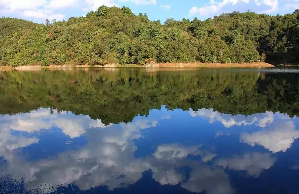 前三季度昆明各区县gdp,昆明各区县gdp
