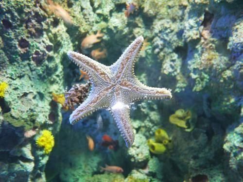 距离中国3000公里小岛,国内小众海岛堪比马尔代夫