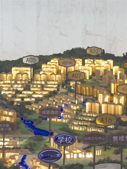 温州阳光100阿尔勒,阳光100阿尔勒学区