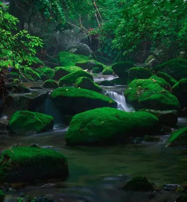 国内5个最值得去的小众旅行地,7个惊艳小众旅行地建议收藏哦