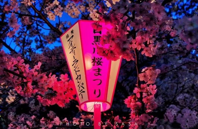 日本关西攻略自由行 (日本关西5日游精品路线推荐)