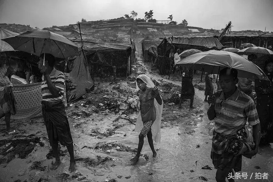 荷赛奖著名作品,荷赛历届获奖摄影照片