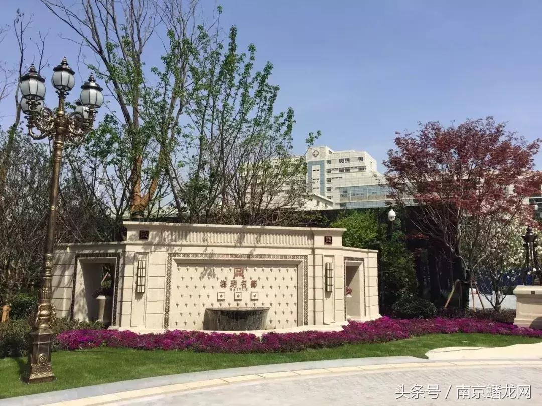 南京富人区名单曝光,2018年南京富豪区