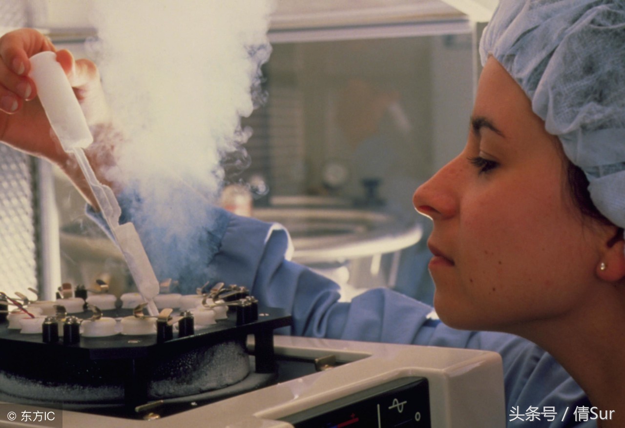 卵巢早衰是卵巢里没有卵了吗,卵巢早衰的早知道