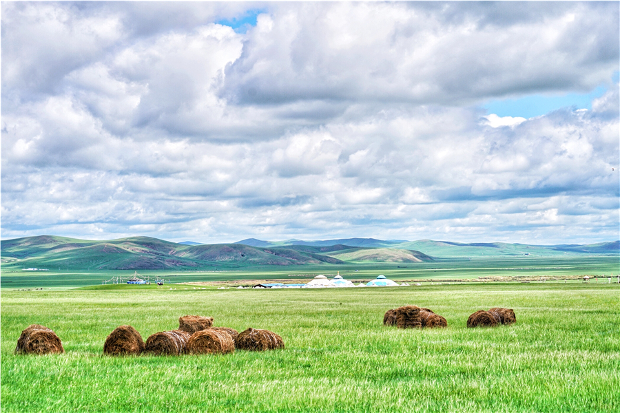 呼伦贝尔大草原敖包,呼伦贝尔天下第一敖包在哪