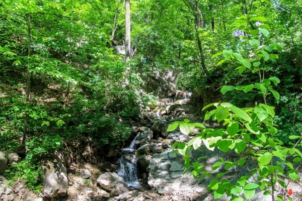 涓囧瓧鏀荤暐,涓囧瓧瑙ｆ瀽鏀荤暐