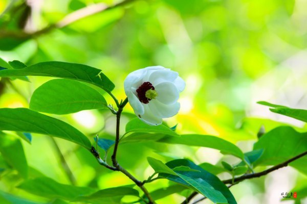 涓囧瓧鏀荤暐,涓囧瓧瑙ｆ瀽鏀荤暐