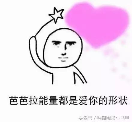 比nars便宜一半的粉底液,比nars还便宜的化妆品牌