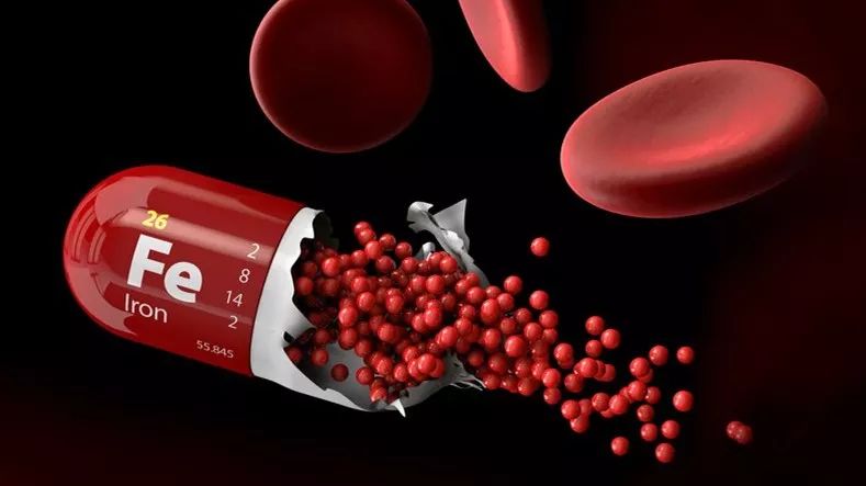 孕妇必须补充哪种营养素,孕妇需要补哪些东西