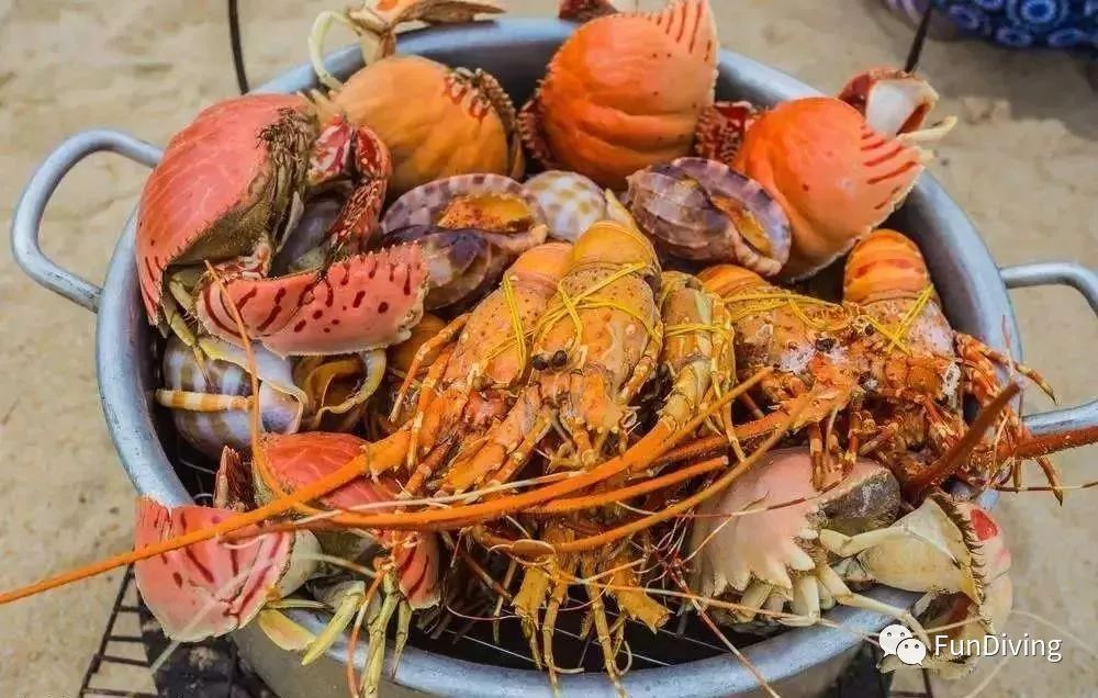 醉爱自驾游,醉爱越南