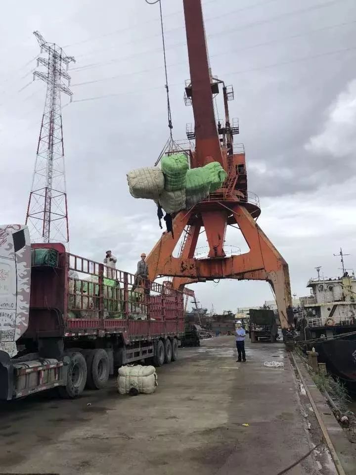 国外扔掉的旧衣服,700多吨走私洋垃圾衣物被查获