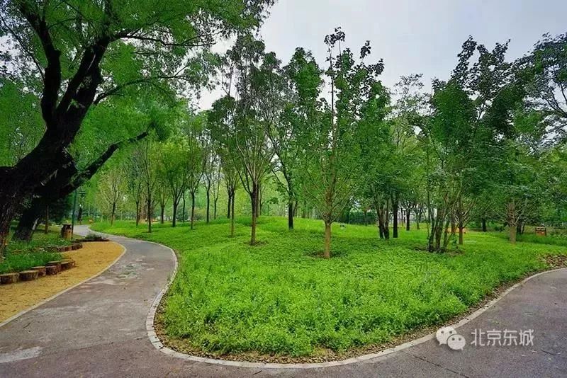 工体为何那么出名,工体为什么叫天花板