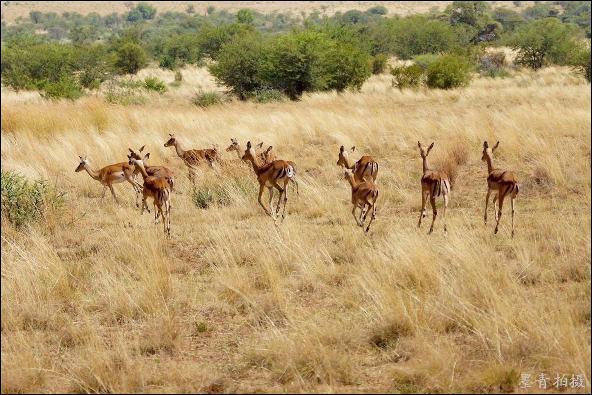 重庆周边三日游最佳攻略最新,重庆周边一日游的绝佳去处春游