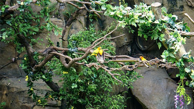 带小孩去长隆欢乐世界畅玩一天,暑假带娃去广州长隆野生动物世界