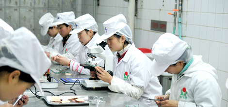 *局破**猪周期的金锣模式