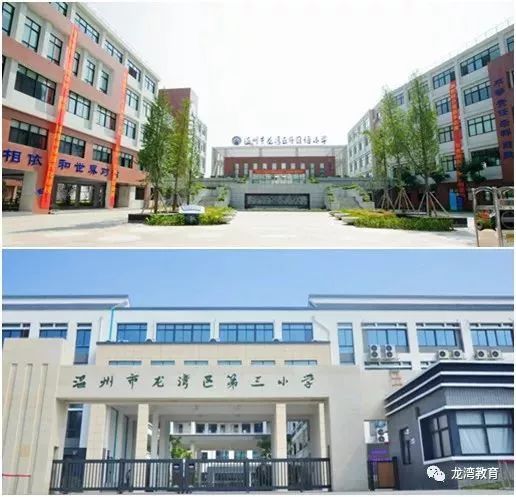 温州龙湾外国语小学分校,龙湾外国语教育集团