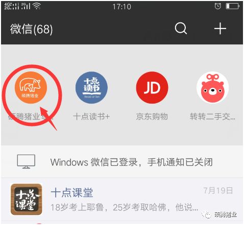 硕腾猪业怎么样,硕腾猪业官网
