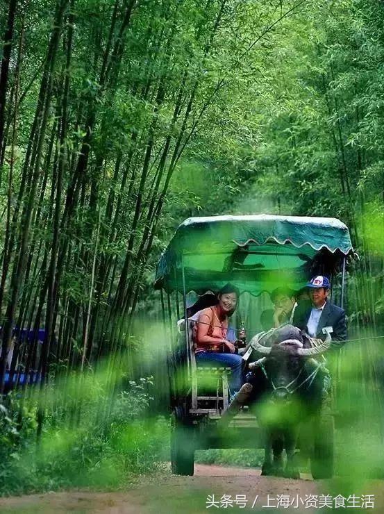 盘点十个江浙沪漂流玩水胜地,江浙附近哪个漂流最好玩