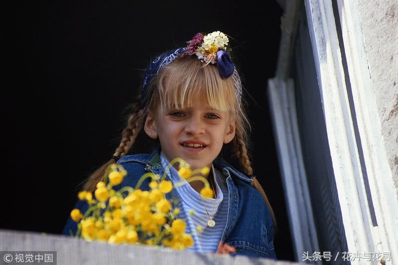 通风的环境对月季有什么好处,家里养花怎么才能做到通风好