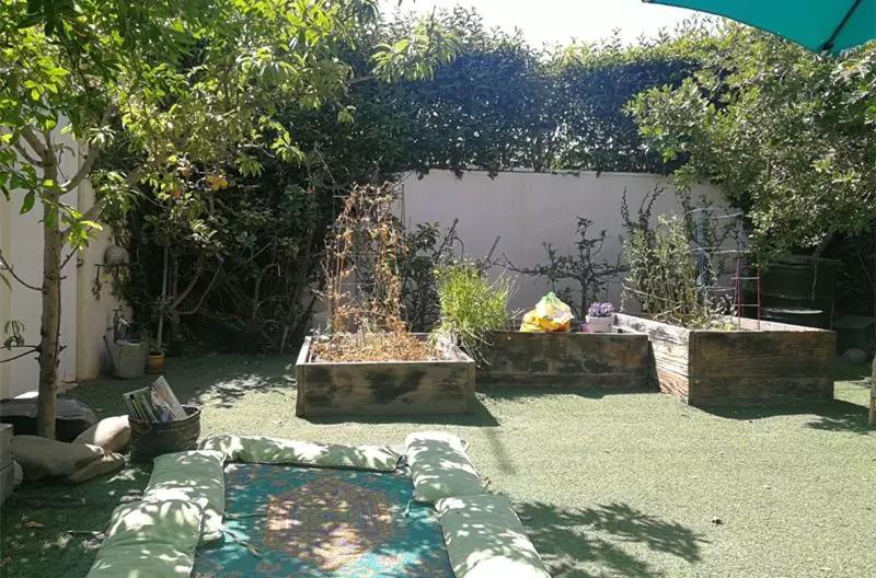 中国园长在美国｜亲身感受中美幼儿园的不同特色！