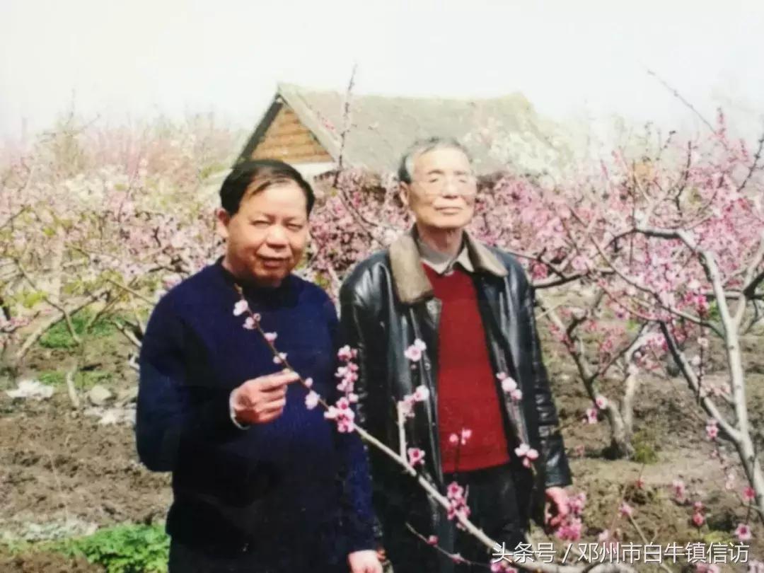 大作家、奇人秦俊（八）邓州市白牛镇走出的大作家