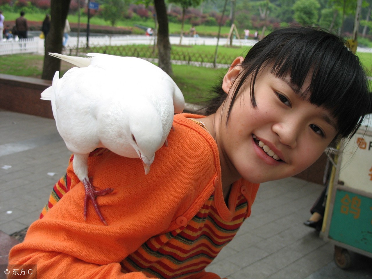 笔画最多的汉字172画读音是什么,汉字笔画最多最难写的字是哪个