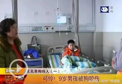 被狗咬住不放怎么办,被狗咬着不松口怎么快速脱离