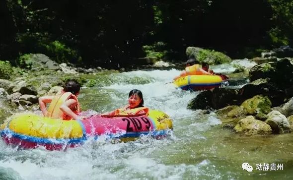 贵州杉木河漂流票价多少,贵州漂流前10名排行榜
