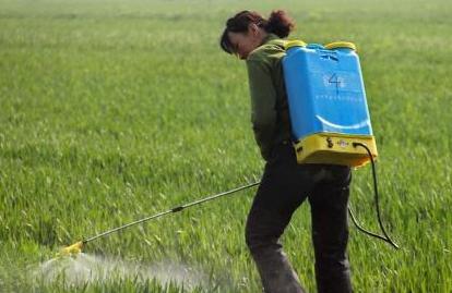 花椒水可以去除蚜虫吗,如何除去花椒树上的蚜虫