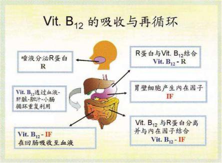 臭豆腐怎么能快速变臭,想做炸臭豆腐闻不了臭味怎么解决