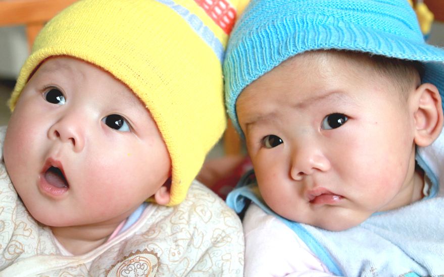 狗生小说全文,狗生传奇小说