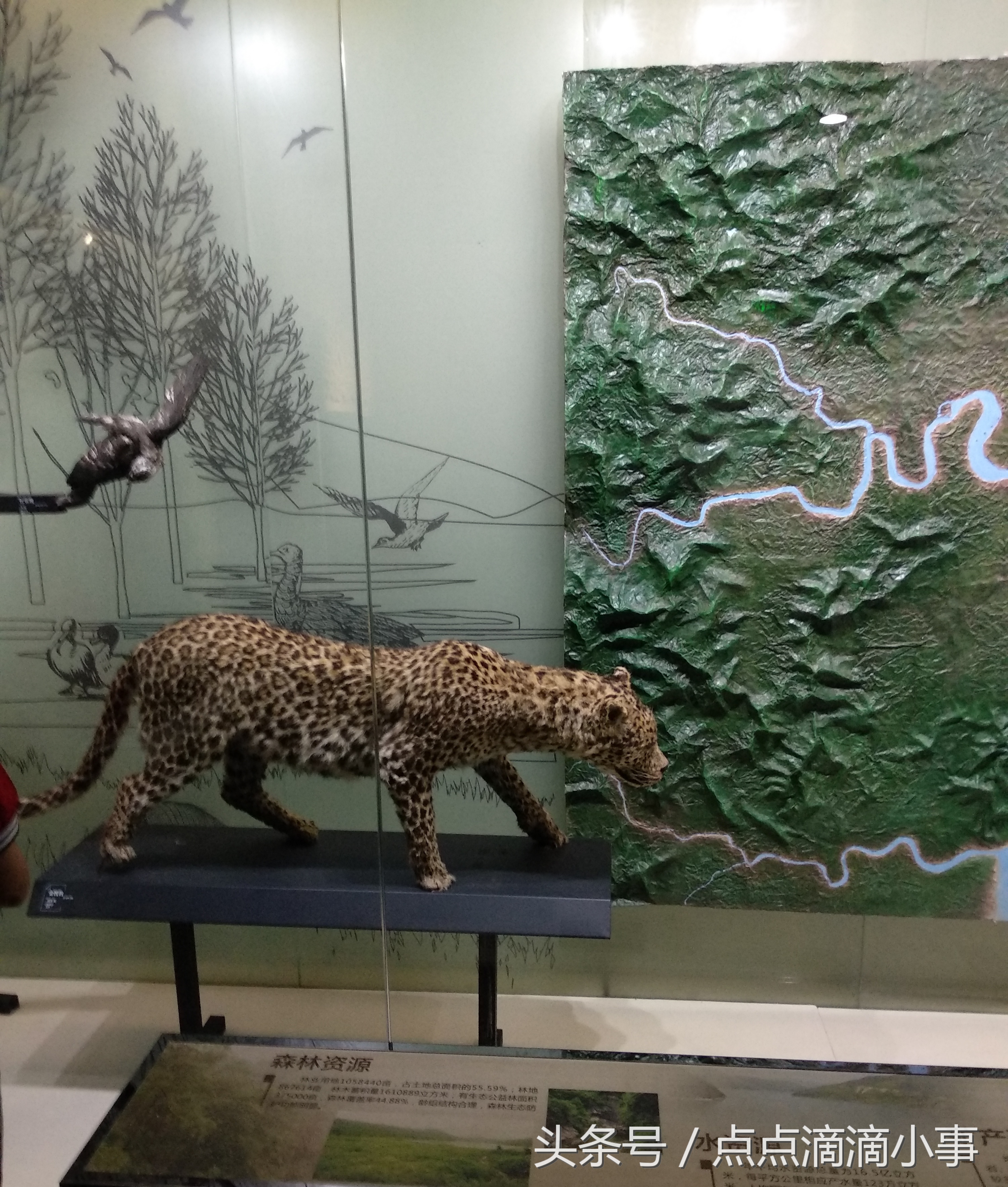 瑞安博物馆图片,瑞安美景图片大全