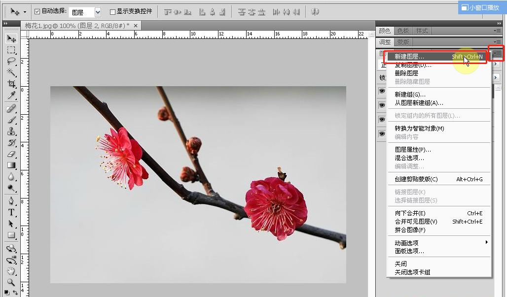 ps小白入门教程零基础抠图,ps小白入门基础教学导入图片