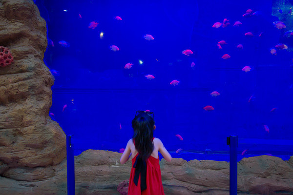 烂苹果乐园需要带什么,烂苹果乐园里有什么